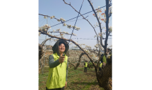 NH저축은행, 천안서 '농촌일손돕기' 실시