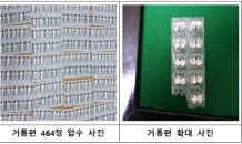 강원경찰, 마약사범 검거 ... 마약류범죄 척결 최우선 과제로 추진