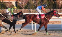 3세 이상 경주마 2,000m '한판 대결'…3가지 관전 포인트는