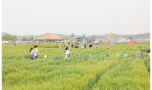 군산시, 제18회 군산꽁당보리축제 개최