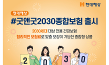 현대해상, 2030세대 대상 전용 건강보험 출시