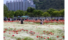 울산시,“봄의 정원, 향기로 물들다” ‘2023 태화강 국가정원 봄꽃축제’개최