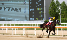 한국마사회 “제 22회 YTN배 대상경주서 ‘투혼의반석’ 깜짝 우승”