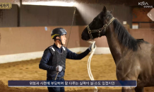 한국마사회, ‘과학적 말 조련·조교법’ 연구결과 발표…“관계자 안전·말복지 향상”