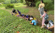 군산시보건소, 아토피 질환 예방 '숲 체험교실'