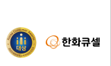 한화솔루션 큐셀부문, 6년 연속 ‘글로벌 베스트 컴퍼니’ 선정…“수출 역량 인정”