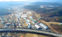 대구 농수산물도매시장 이전 순항