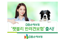 DB손해보험, '펫블리 반려견보험' 출시…최대 2,000만원 보장