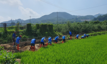 신한금융 임직원, 충청지역 수해복구 지원 나서