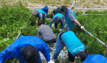 한국마사회, 집중호우 피해 복구 지원 성금 기부