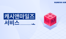 대한항공 “항공권 30% 마일리지로 결제하세요”