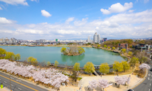 수성구, 수성못 주변 모든 현수막 게시 금지