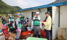 대구 중구, ‘군위군 수해 복구’ 현장찾아 구슬땀