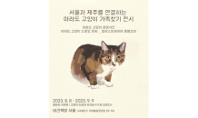 유기동물 없는 제주네트워크 '마라도 고양이 가족찾기 展'