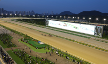 한국마사회, 여름 최대 축제 ‘야간경마’ 성료…삼쌍승식서 1만9,000배 배당 ‘눈길’