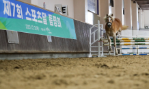 한국마사회, ‘스포츠말 품평회’·’어린말 승마대회’ 개최