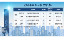 '최고층' 랜드마크 아파트에 수요자 관심 집중