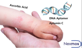 넥스모스 ‘압타민C’, 아토피 피부염증 개선효과 국제학술지 뉴트리언츠에 게재