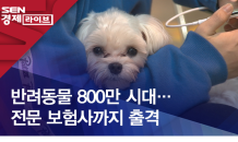 반려동물 800만 시대…전문 보험사까지 출격