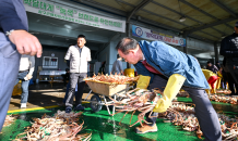 대게의 본고장 영덕군, 2023년 첫 경매로 시즌 개시