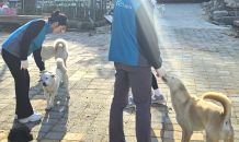 한국마사회 임직원, 유기동물 보호소 찾아 봉사활동