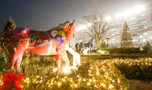 한국마사회, 렛츠런파크 서울서 '성탄절 이벤트 경마' 시행