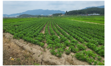 전남도, 전략작물 직불금 403억 지급…전국 최다