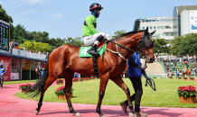 한국마사회 “1등급 경주마 1,600m 대결 펼쳐요”