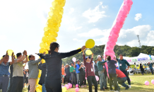 장성군, 산동리 유채꽃 축제등 5개 마을축제 최종 선정