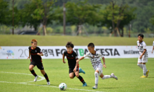 영덕군, 겨울 축구축제 ‘2024 영덕 풋볼페스타 윈터리그’ 개막