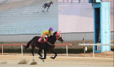 삼관마 영예 가져갈 3세마는…‘KRA컵 마일’ 개막