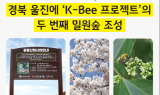 KB금융, 식목일을 맞아 경북 울진에 ‘K-Bee 프로젝트’의 두 번째 밀원숲 조성