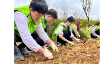 LH, 전국 산불 피해 지역서 나무심기 봉사활동 진행