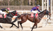 “장거리 최강 명마 가린다”…스테이어 시리즈 제2관문 개최