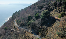 완도군 '섬 숲 경관복원 사업'에 16억 투입