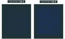 메디톨드 연구소, '단감 바디워시' 인체 적용시험 결과 발표