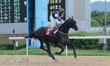 ‘스피드영’ 1,600m 신기록으로 오너스컵 ‘번쩍’