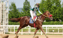 서울경마 최상위권 도약 위한 1등급 2,000m 경주 개최