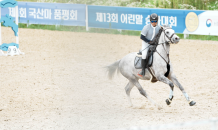 마사회, 국산마 품평회·어린말 승마대회 마무리…승용마 총 64두 입상