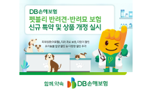 DB손해보험, 펫블리 반려견·반려묘 보험 신규 특약 및 상품 개정