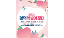 영덕군 대표 과일, ‘2024년 복숭아 장터’ 개장