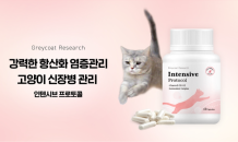 야옹섬, 그레이코트 리서치와 고양이 신장병 신제품 개발