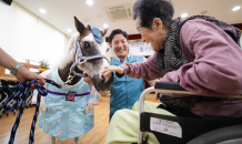 한국마사회, 서울요양원서 ‘홀스테라피’ 봉사활동 진행