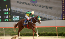 “2세 최고마 뽑는다”…서울 ‘실버레인’·부산 ‘위너클리어’ 1관문 우승