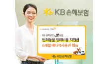 KB손보, '반려동물 장례비용 지원금' 배타적사용권 획득