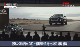 내수가 먹여 살린 車 업계… 해외 시장 볕뜰날 오나