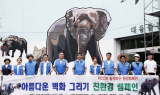 KCC, 홍일화 작가와 '아트 콜라보레이션' 사회공헌활동 펼쳐